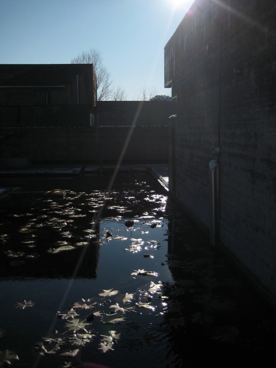 Loading Image